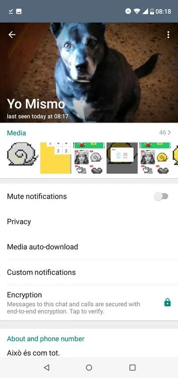 GB WhatsApp v18.80 APK (Anti-Hapus Pesan, Sembunyikan Status Online, Anti Ban)